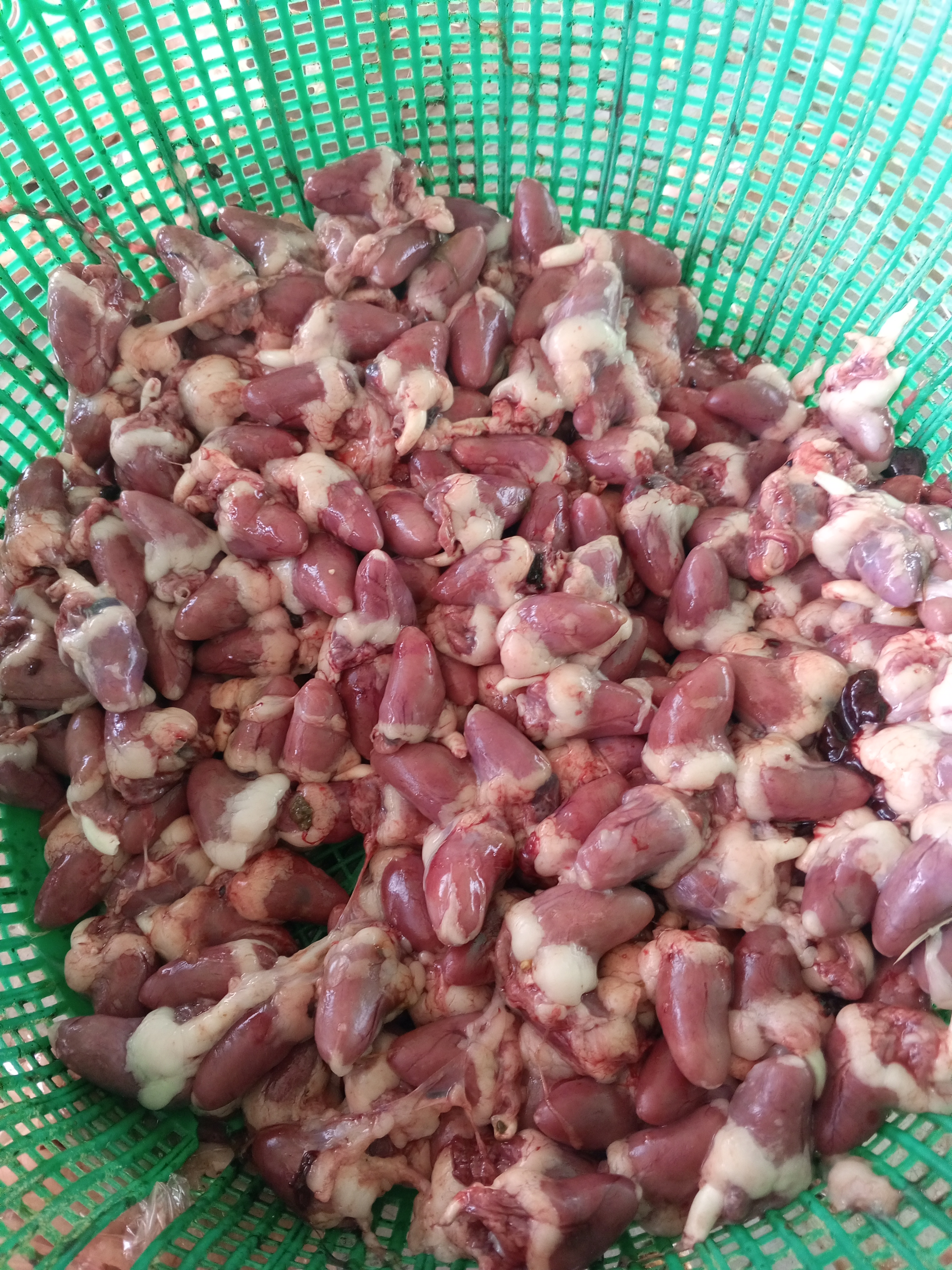 Chicken heart